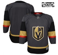 Dětský Dres Vegas Golden Knights Blank Šedá Premier Alternativní
