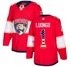 Pánské Dres Florida Panthers Roberto Luongo 1 USA Flag Fashion Červená Authentic