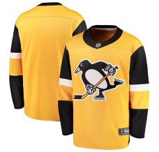 Pánské Dres Pittsburgh Penguins Blank Zlatá Breakaway Alternativní