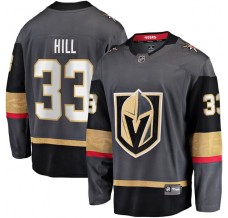 Pánské Dres Vegas Golden Knights Adin Hill 33 Šedá Breakaway Alternativní