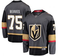 Pánské Dres Vegas Golden Knights Ryan Reaves 75 Šedá Breakaway Alternativní