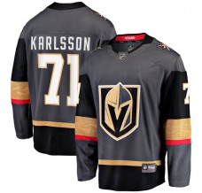 Pánské Dres Vegas Golden Knights William Karlsson 71 Šedá Breakaway Alternativní