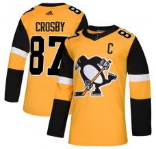 Pánské Dresy Pittsburgh Penguins Sidney Crosby 87 2018-19 Zlatá Authentic