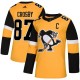 Pánské Dresy Pittsburgh Penguins Sidney Crosby 87 2018-19 Zlatá Authentic