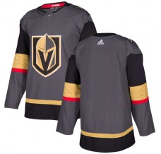 Pánské Dresy Vegas Golden Knights Blank Šedá Authentic